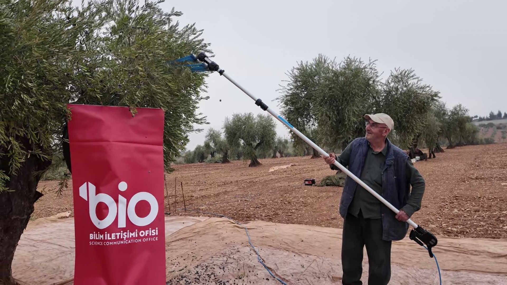 Bilim tarlaya indi! Kilis 7 Aralık Üniversitesi'nden köylüye uygulamalı zeytin hasadı eğitimi