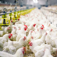 Birbirinden ilginç 10 gerçek