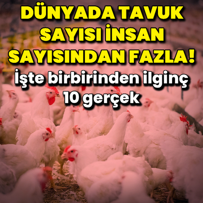 Birbirinden ilginç 10 gerçek
