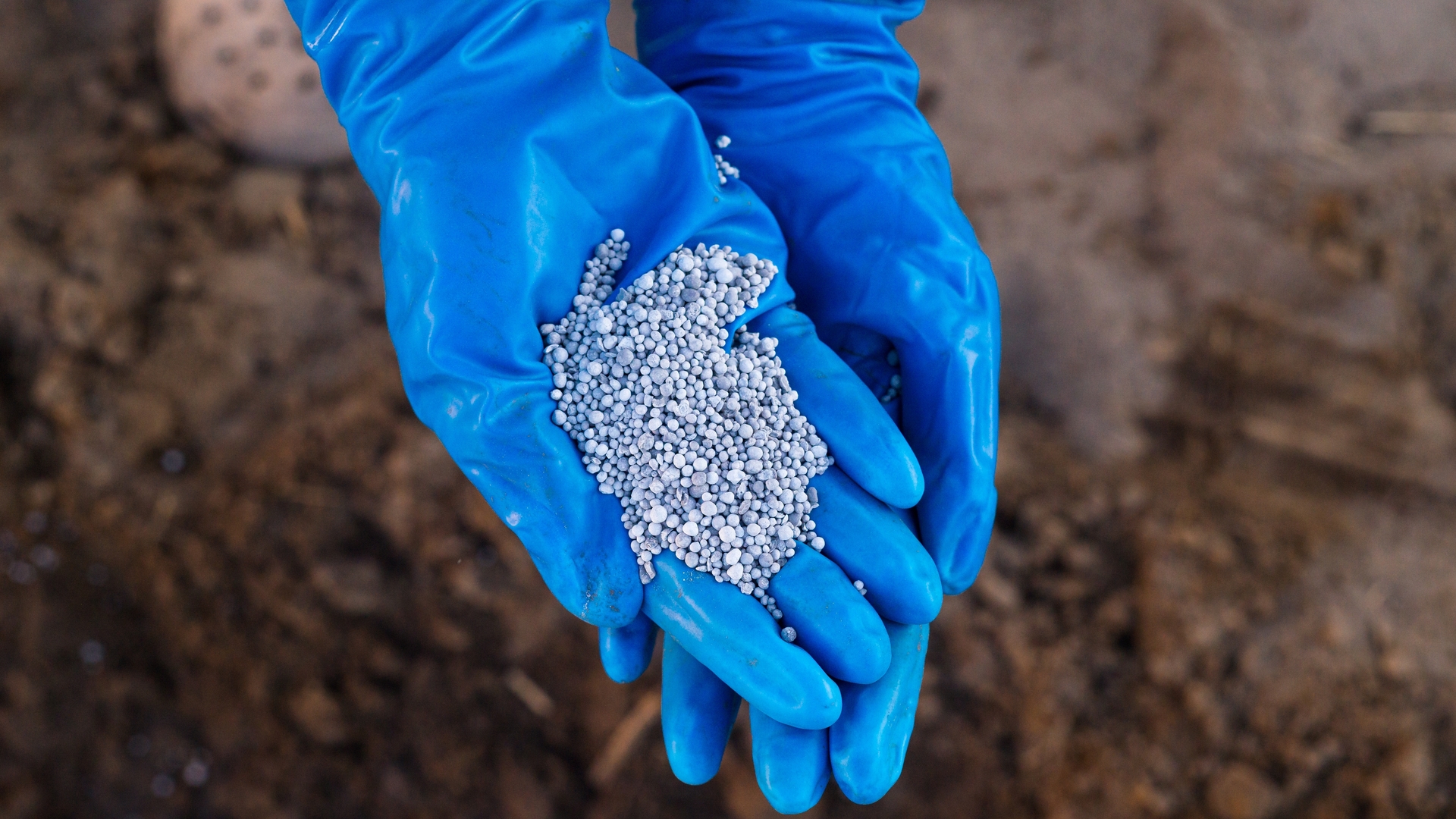 Türk Toraks Derneği'nden Alüminyum Fosfit uyarısı: Soluduğunuz an geç olabilir - Haberler | Sağlık Haberleri