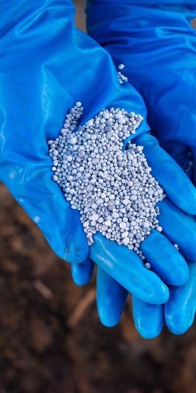 Alüminyum fosfit uyarısı! Soluduğunuz an geç olabilir