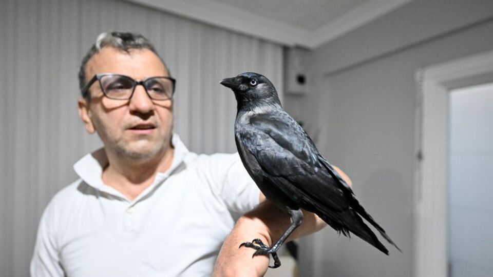 Sahiplendiği 'Kömür' en yakın dostu oldu