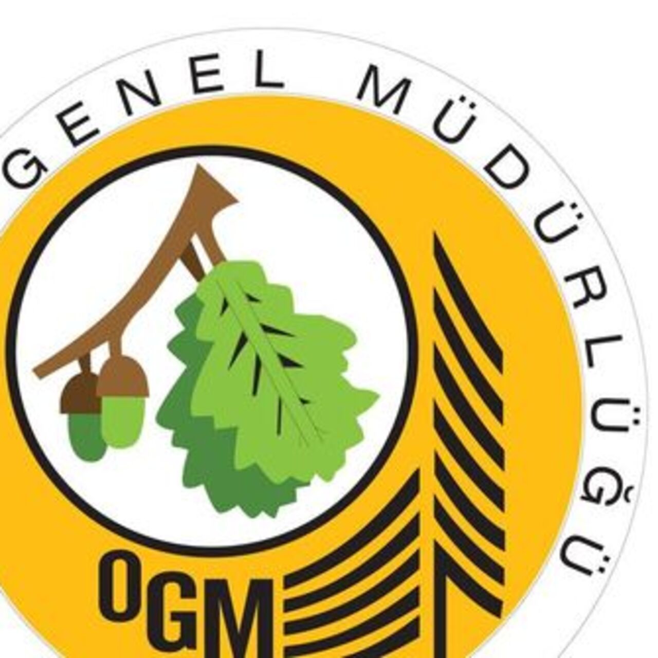 OGM personel alımı başvuruları devam ediyor! 