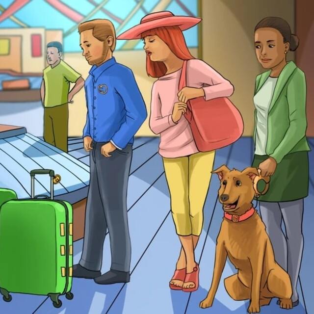 Cevaplar detaylarda gizli