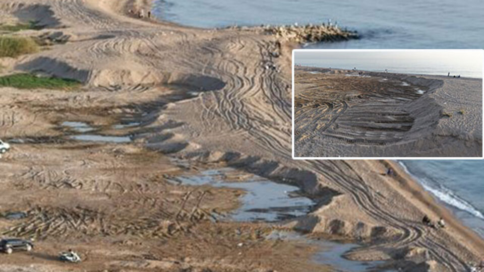 Kamyon kamyon yüklediler... Eşsiz plajı çaldılar!