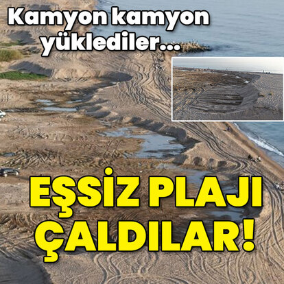 Kamyon kamyon yüklediler... Eşsiz plajı çaldılar!