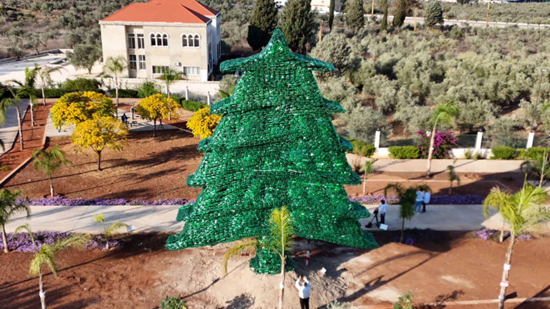 Dünyanın en büyük plastik sedir ağacıyla Guinness Rekorlar Kitabı'na girdi