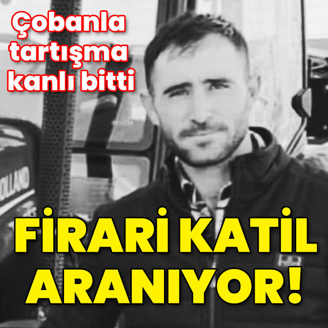 Çobanla tartışma kanlı bitti... Firari katil aranıyor!