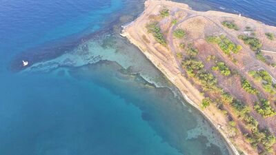 Mola Burnu'nda çıkarıldı!