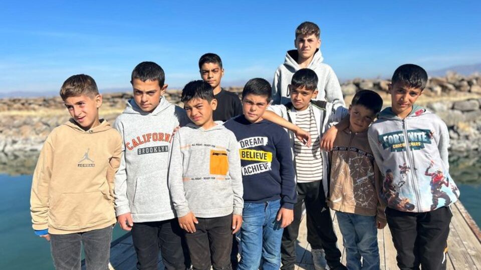 Van Gölü'nün 'sarı çocukları' eski hallerine döndü