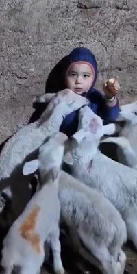 Minik Yusuf: Beni yiyorlar