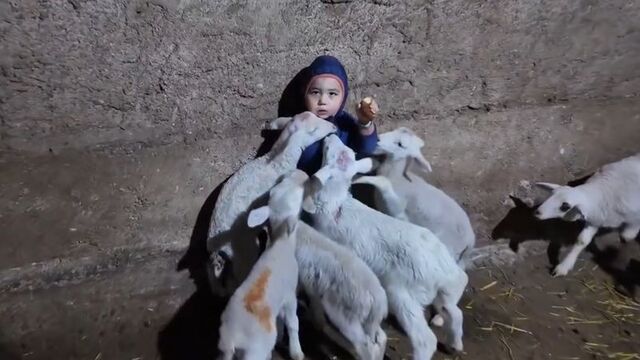 Minik Yusuf: Beni yiyorlar