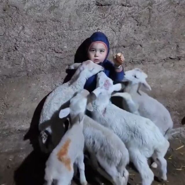 Minik Yusuf: Beni yiyorlar