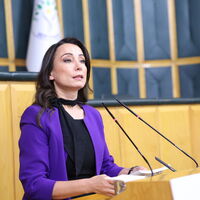 DEM Parti'den İmralı açıklaması