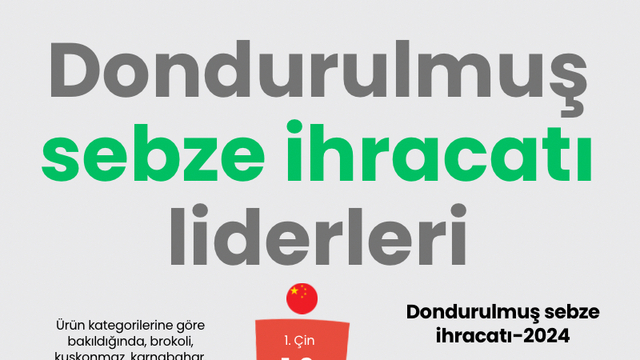 Dondurulmuş sebze ihracatı liderleri