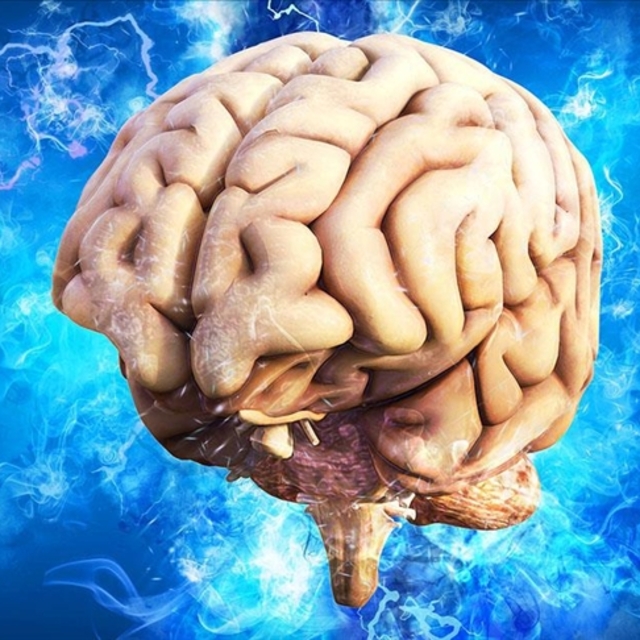 Ergenlik, 32 yaşına kadar sürüyor!