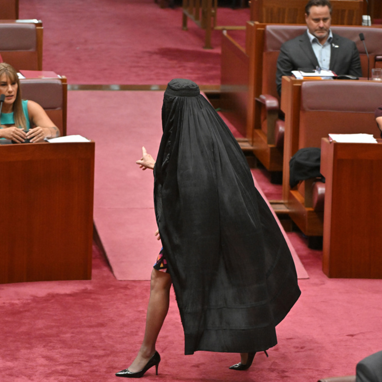Avustralya Senatosunda burkalı eylem