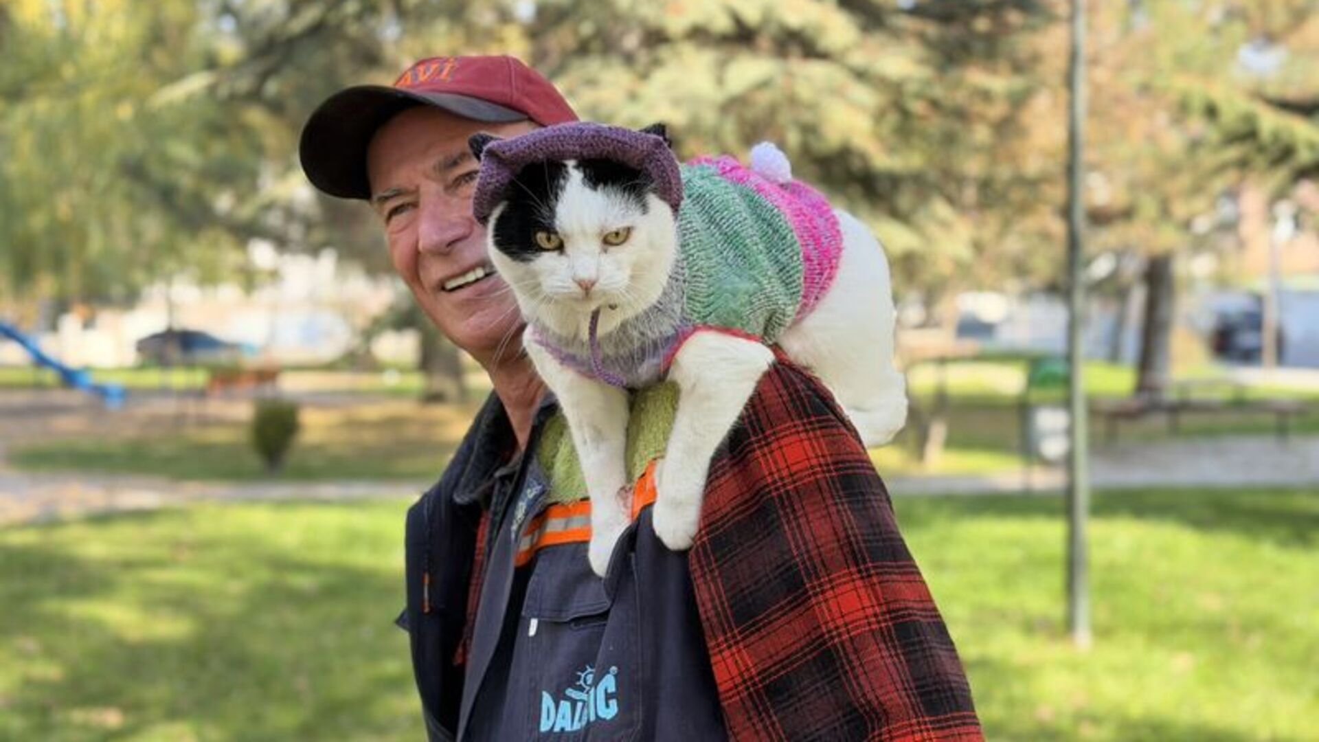 12 yıl önce sahiplenip birlikte 65 şehir gezdiği kedisi omzundan inmiyor