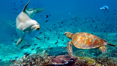 Zamanın unuttuğu canlılar