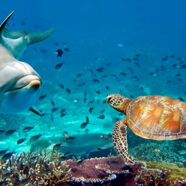 Zamanın unuttuğu canlılar