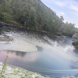 Gönen çayı ölmesin!