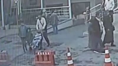 Böcek ailesinin yeni görüntüleri ortaya çıktı