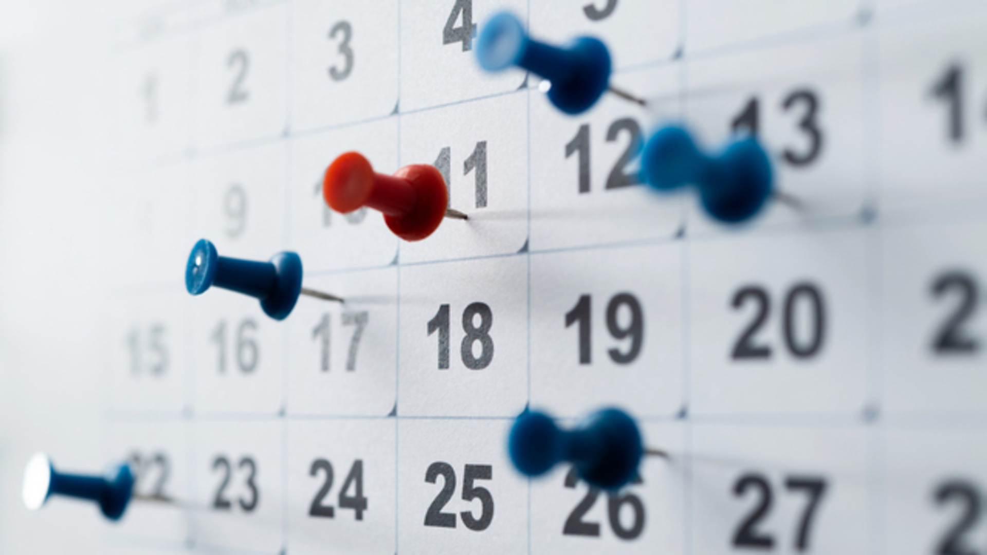 29 Kasım dünya ne günü? 29 Kasım ne günü, önemi ne? 29 Kasım'da kutlanan özel günler neler?