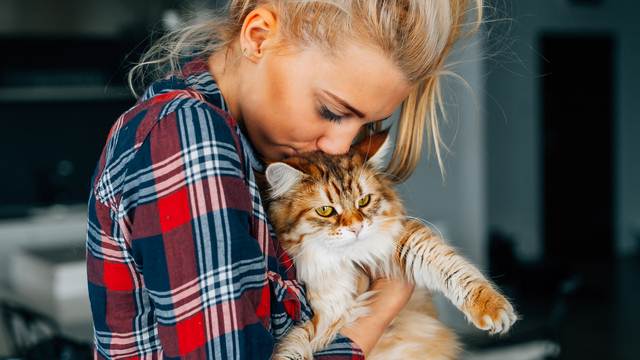 Sanılandan daha geç dostumuz olmuşlar!