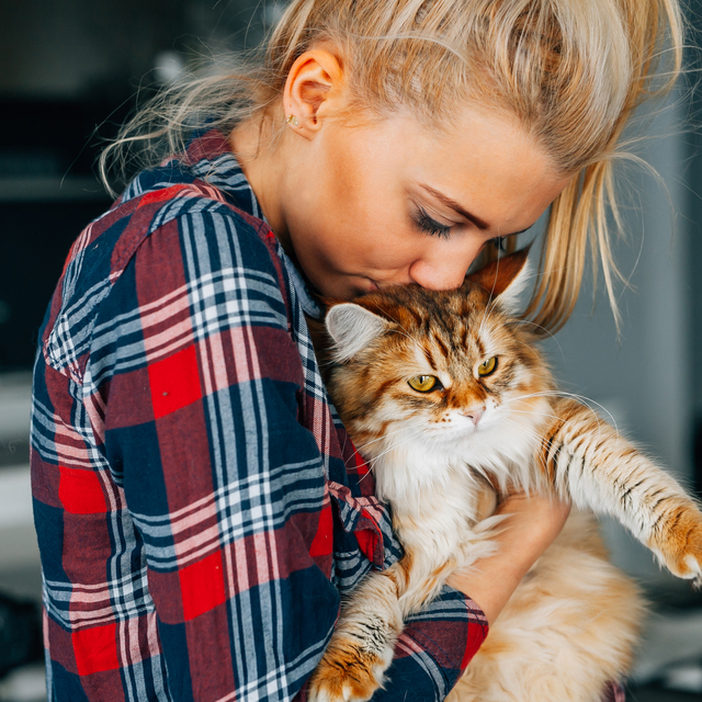 Sanılandan daha geç dostumuz olmuşlar!