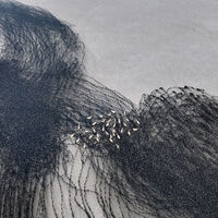 Gölde karakalem tabloyu andıran görüntüler