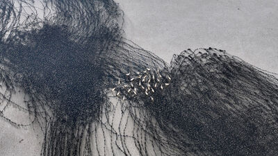 Gölde karakalem tabloyu andıran görüntüler