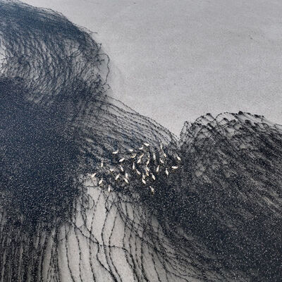 Gölde karakalem tabloyu andıran görüntüler