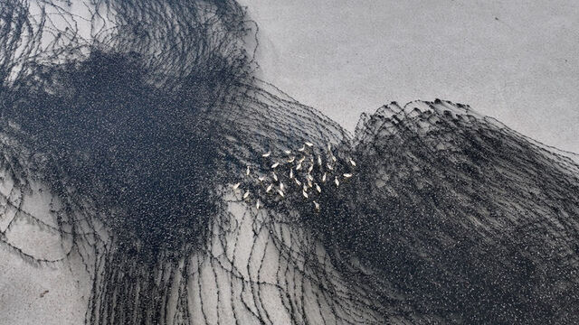 Gölde karakalem tabloyu andıran görüntüler