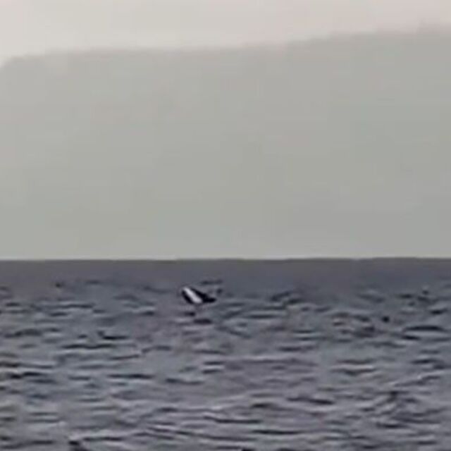 Kocaeli’de tekne alabora oldu! 1 ölü, 1 yaralı