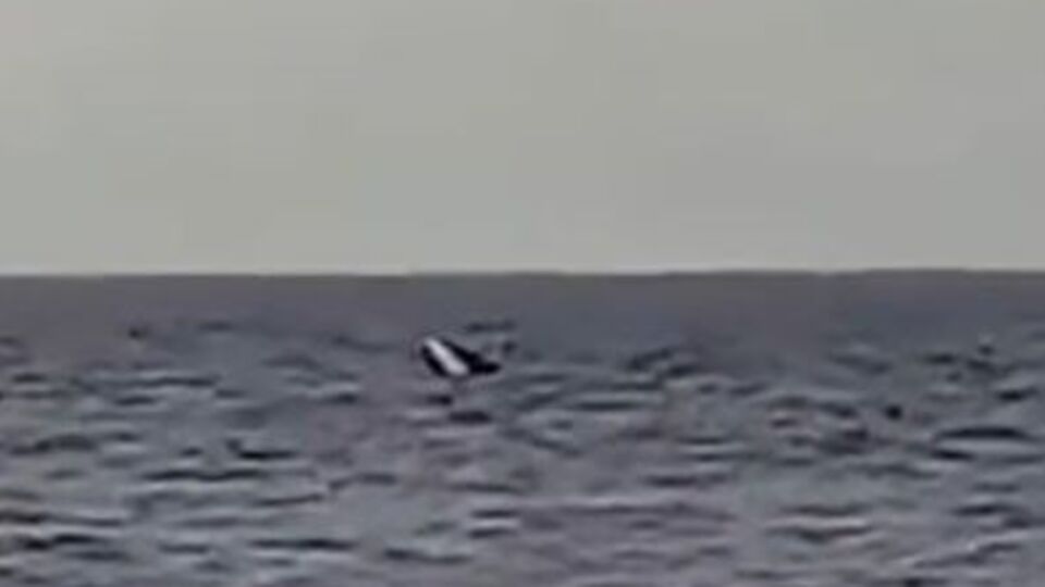 Kocaeli'de tekne alabora oldu! 1 ölü, 1 yaralı