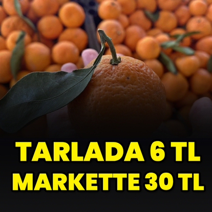 Mandalinada fiyat farkı yüzde 392 oldu