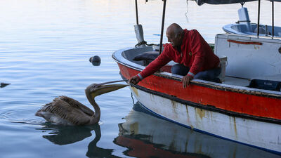 1.5 kilo balık yiyor! Barınağın müdavimi: Suzi