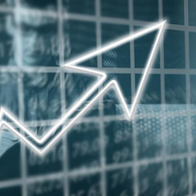 Tarım 'don'du, büyüme yatırımla koştu