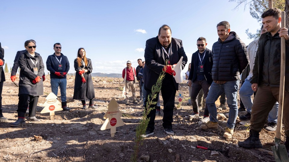 Rossmann Türkiye ve iş ortaklarından ağaçlandırma projesi
