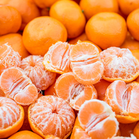 Aralık ayı mandalinası neden daha tatlı?