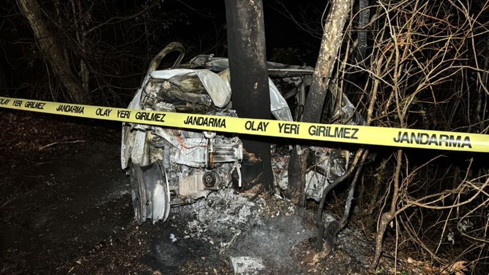 Ağaca çarpan aracın sürücüsü öldü