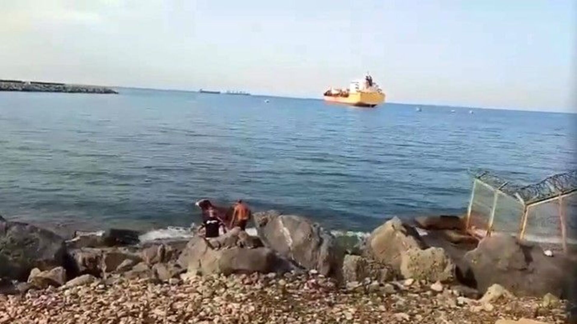 Hatay'da Denize Düşen Angus Sığırı Balıkçı Ağından Kurtarıldı