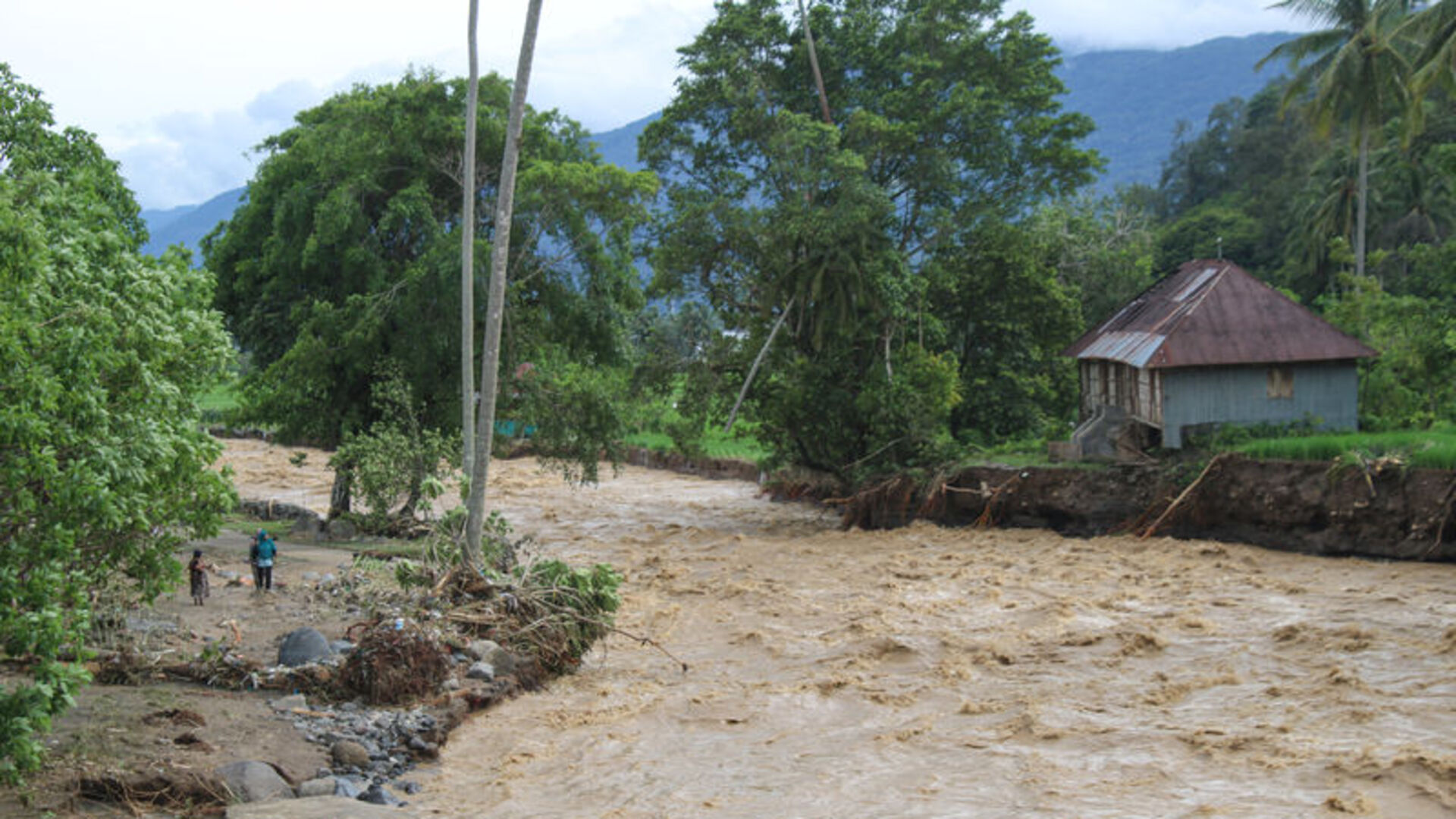 Güneydoğu Asya ülkelerinde şiddetli yağışların yol açtığı afetlerde bini aşkın kişi öldü, yüzlerce kişi kayıp! | Dış Haberler