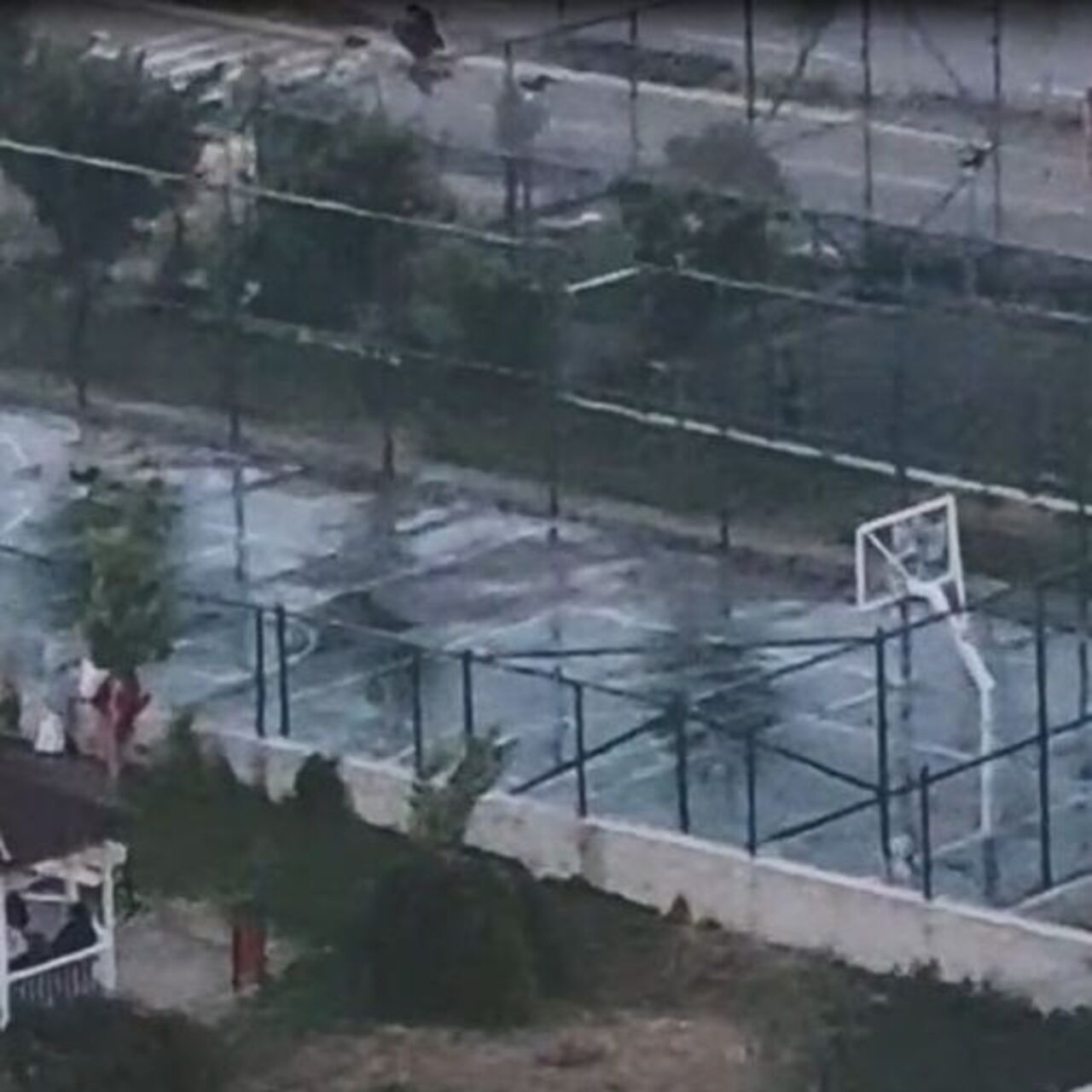 Pitbull dehşetinde yeni görüntüler