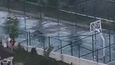 Pitbull dehşetinde yeni görüntüler