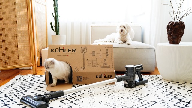 Ürün ambalajları sokak hayvanlarına ev oluyor