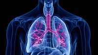 Akciğerleri güçlendiren 7 bilimsel yöntem