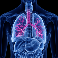 Akciğerleri güçlendiren 7 bilimsel yöntem