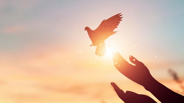 Terörsüz Türkiye ve toplumsal hafıza