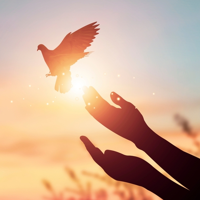 Terörsüz Türkiye ve toplumsal hafıza